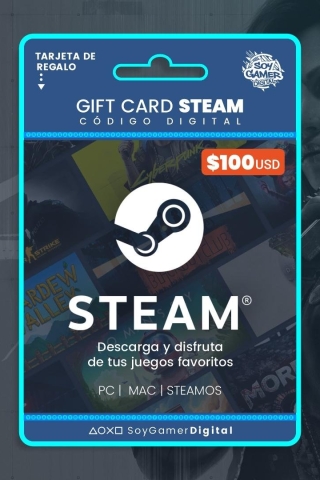 Steam 100 USD